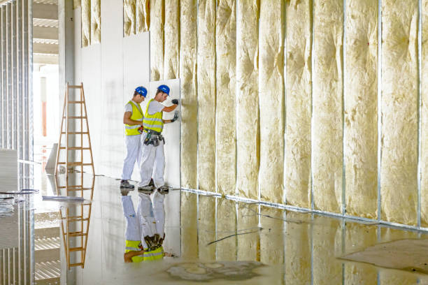 Best Radiant Barrier Insulation  in Trinity, FL